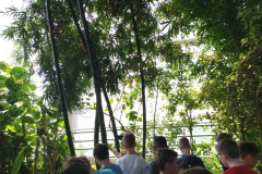 Obisk botaničnega vrta (6. razred)